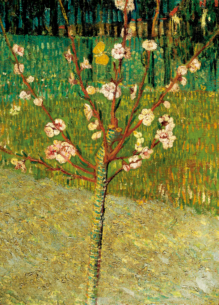  文森特·威廉·梵高  Vincent Willen Van Gogh ——开花的杏树 (April 1888 - 1888)